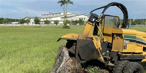 tree service cape coral|cc's tree service and landscaping.